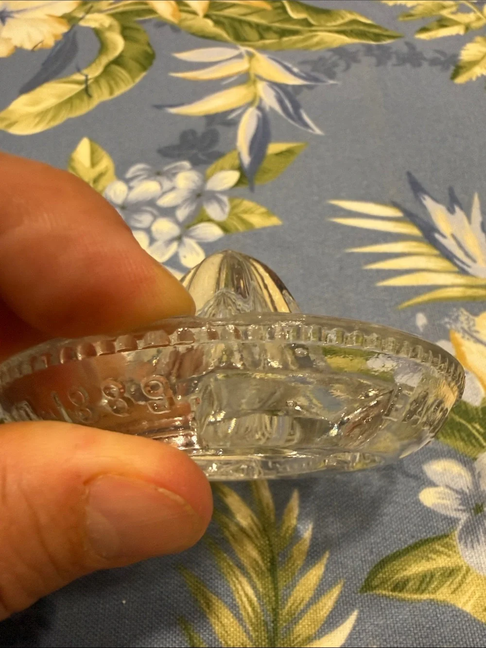 Clear Glass Citrus Press - Classic Handheld Reamer